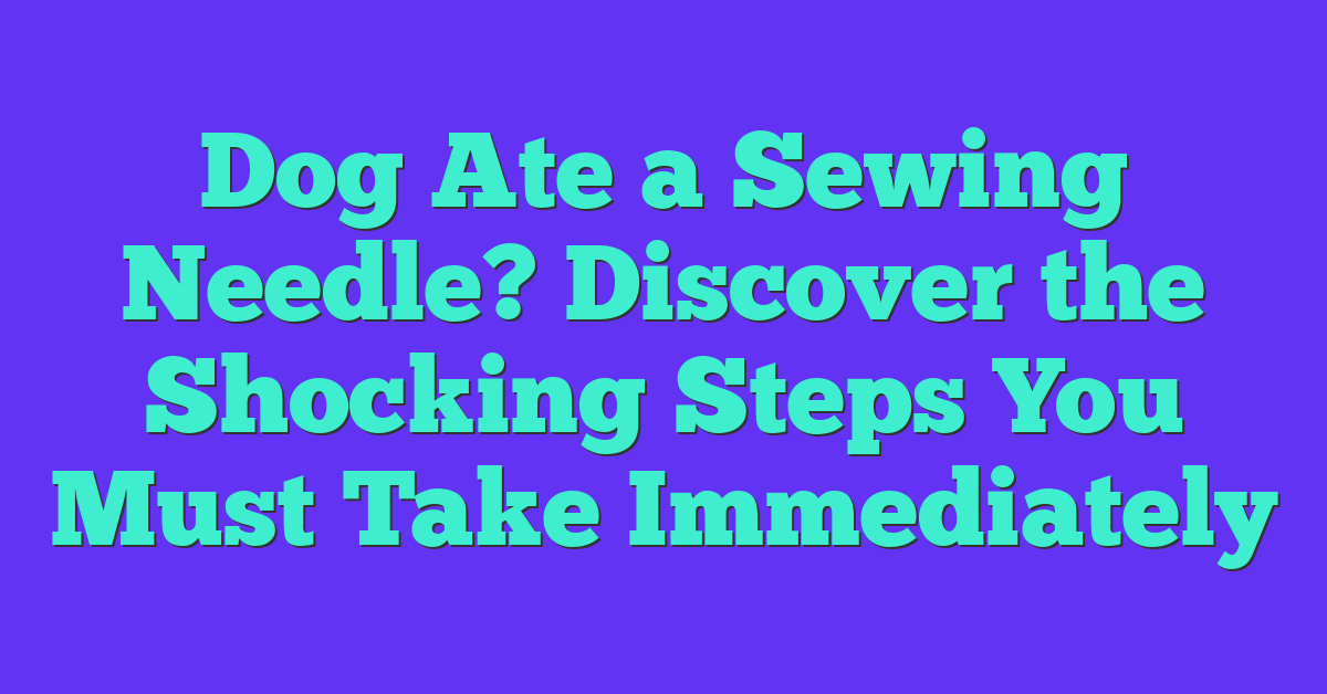 Dog Ate a Sewing Needle? Discover the Shocking Steps You Must Take Immediately